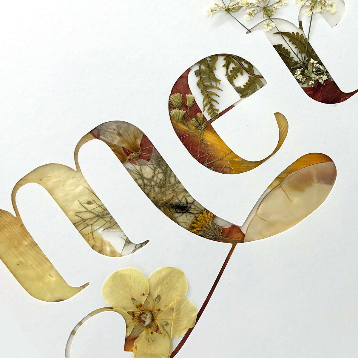 Tableau A4 «merci» en lettres et fleurs de plantes séchées, gros plan sur le texte