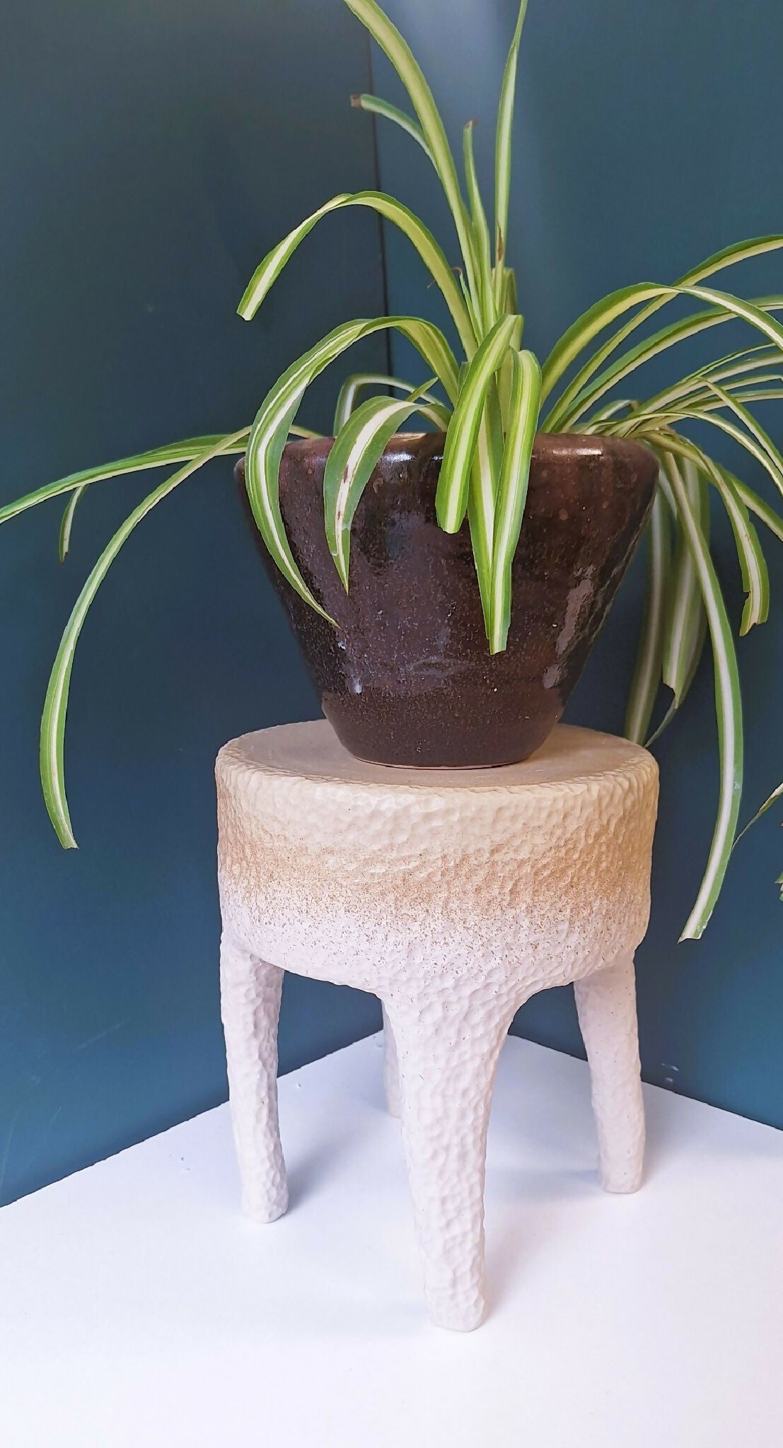 tablette en céramique issue de l'artisanat français avec plante
