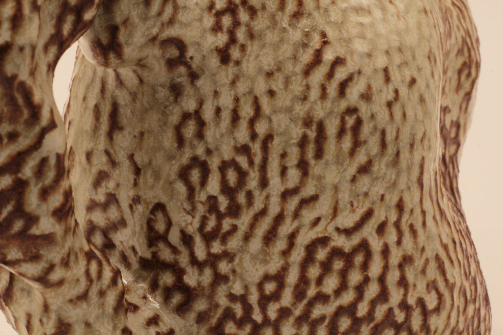 Théière beige, gros plan du motif à taches et stries brun foncé