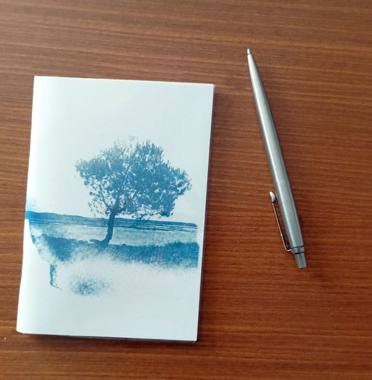 carnet cyanotype fanette bruel