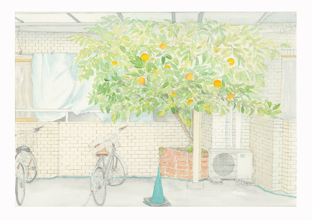 Affiche d’art encadrée, patio clair avec arbre vert aux oranges et vélos.