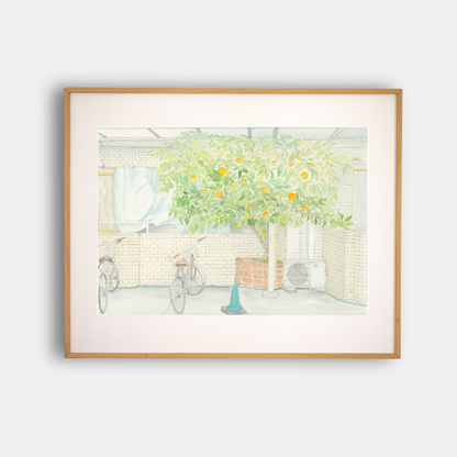"L'ORANGER DU PATIO" - Édition d'Art