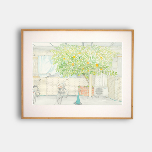 Affiche encadrée "L'ORANGER DU PATIO" : jardin avec arbre et vélos