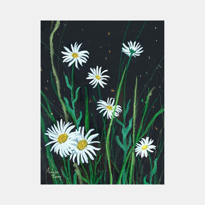 daisies