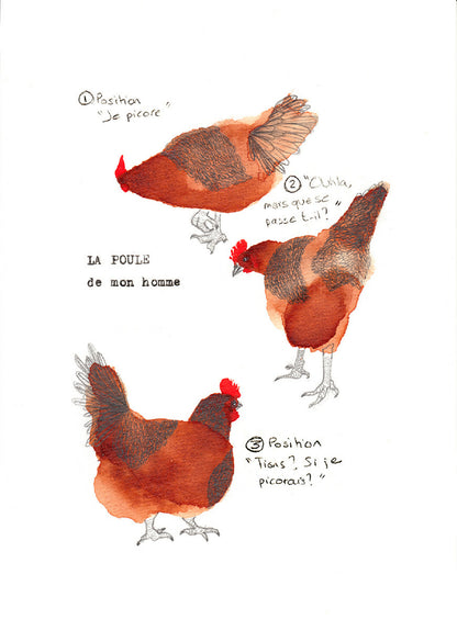 3Poules_CanonA4Ph150