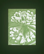 Torchon imprimé en coton vert et blanc, motif floral large