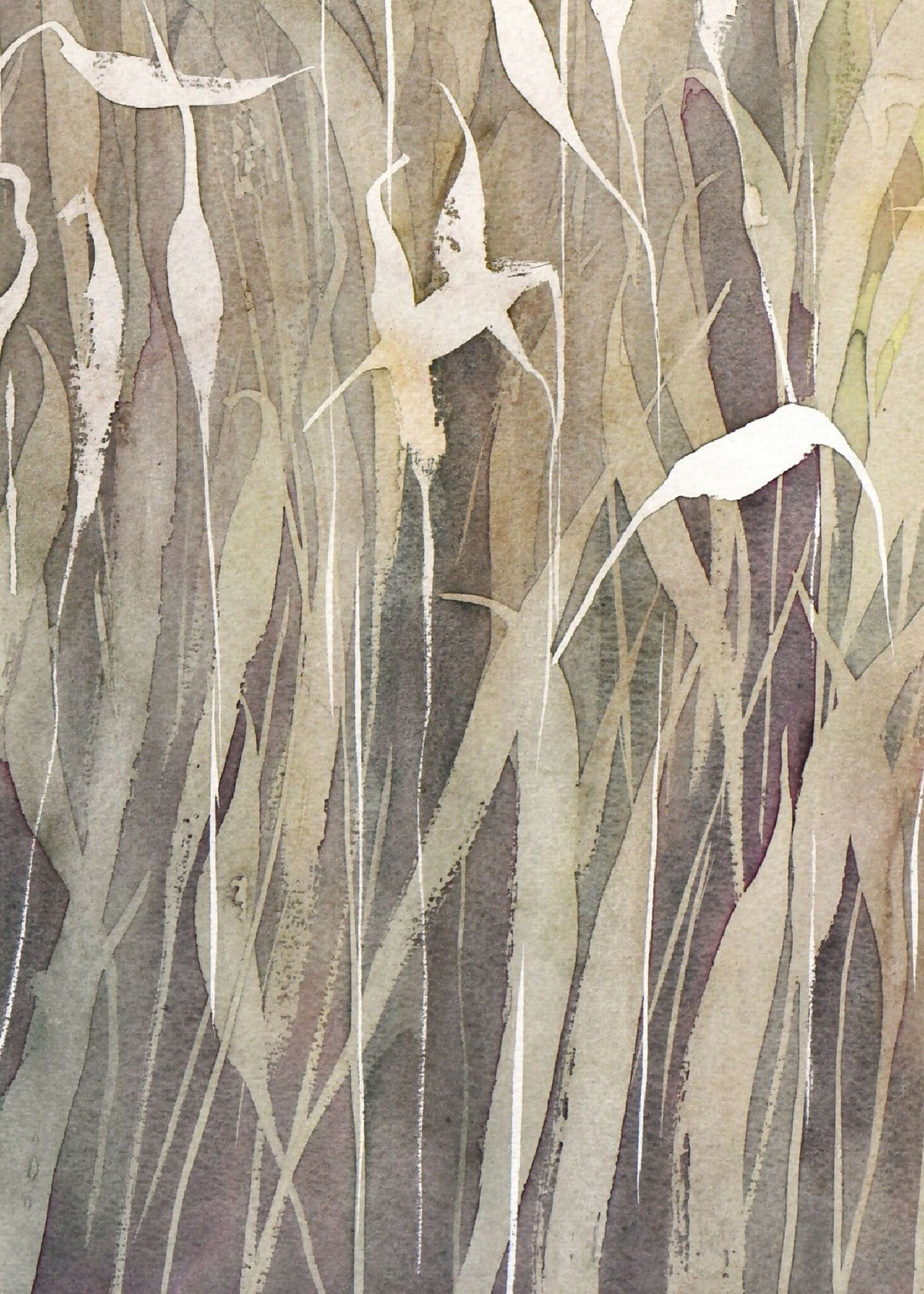 Aquarelle herbacée monochrome, tiges blanches et grises avec touches vert olive.