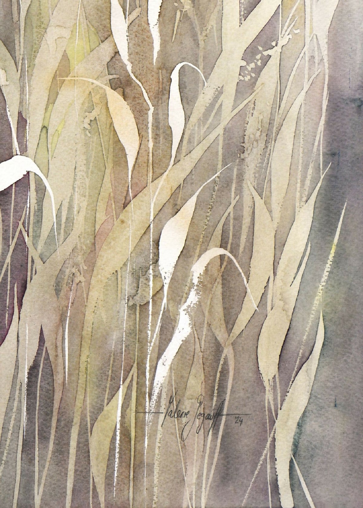 Textures d’aquarelle : herbes blanches, beiges et grises, avec accent lavande.
