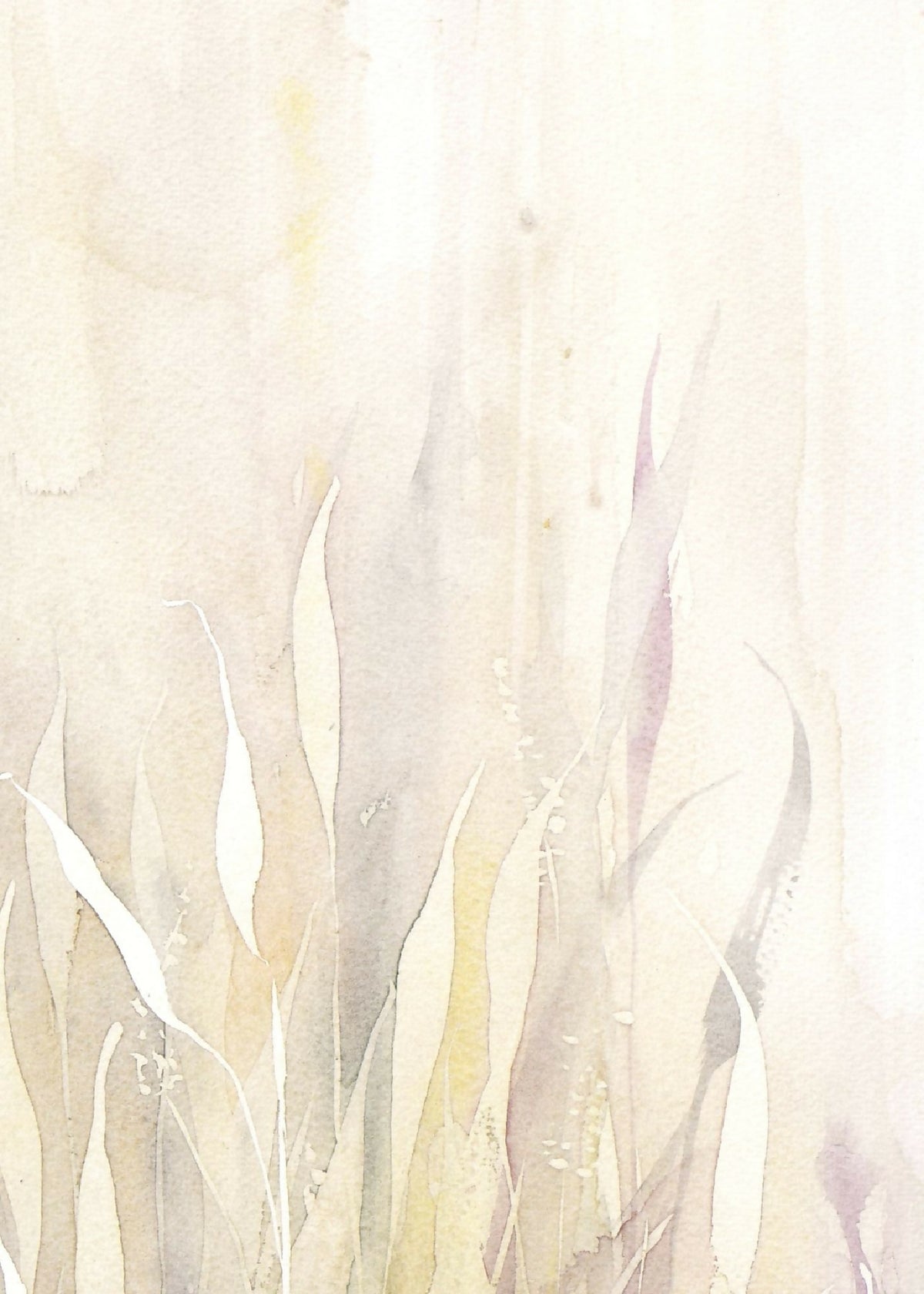 Fond clair et herbes peintes à l’aquarelle, formes blanches et beiges.