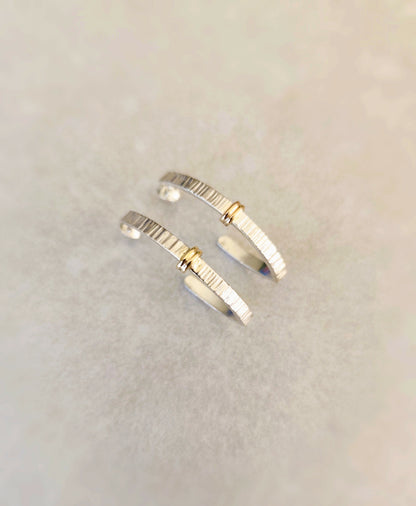 Boucles d'oreilles Courbe Précieuse