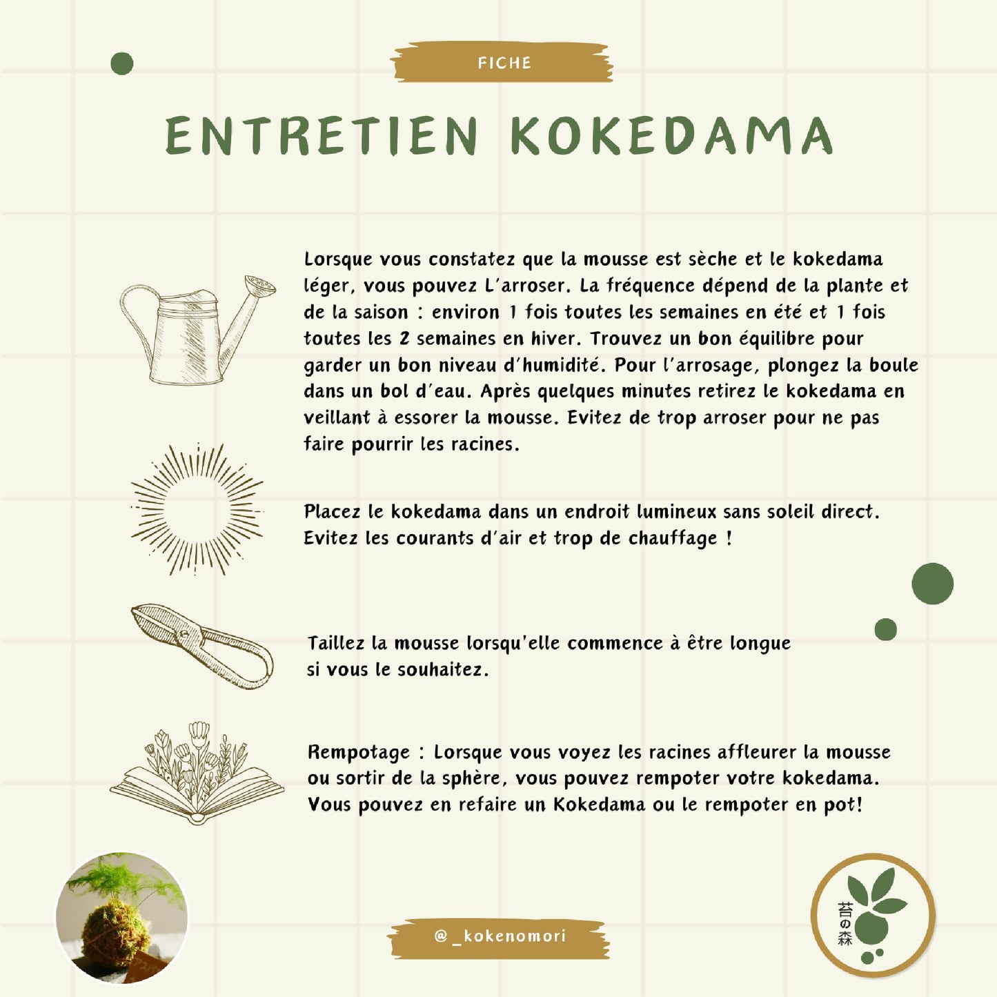 Mini Kokedama Aparagus - support au choix