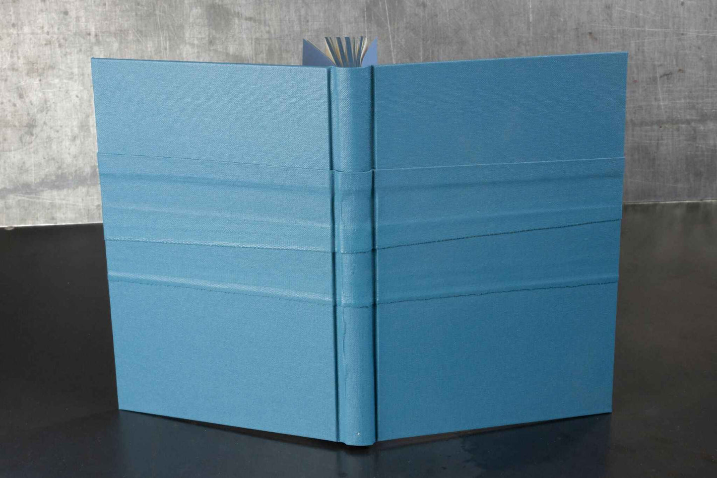Monochrome bleu, carnet ou livre d'or