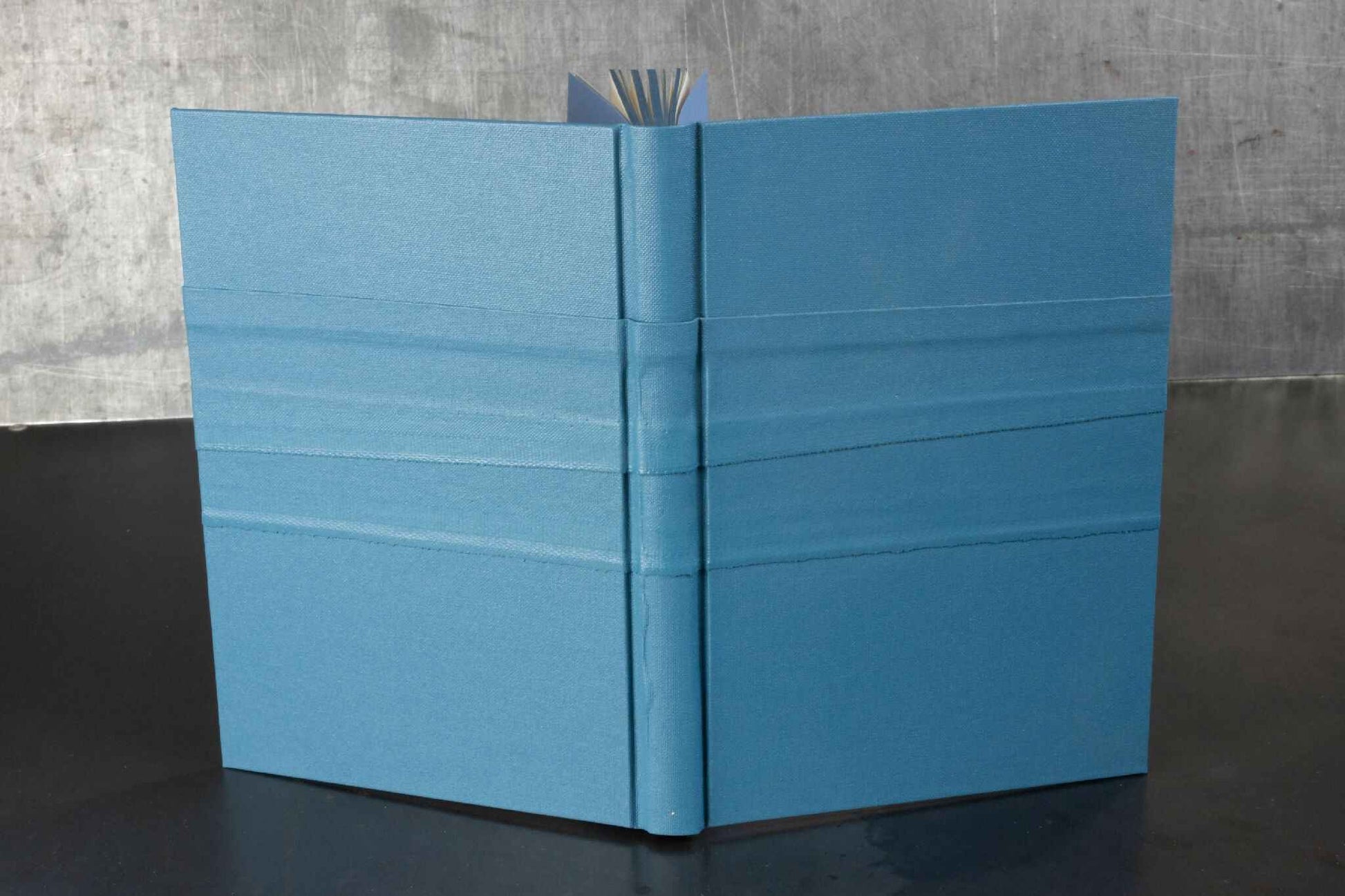 Monochrome bleu, carnet ou livre d'or
