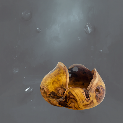TENSION — Carapace