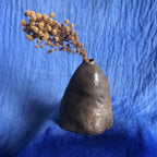 Vase à herbes sèches en céramique sombre, silhouette arrondie avec tige et fleurs séchées