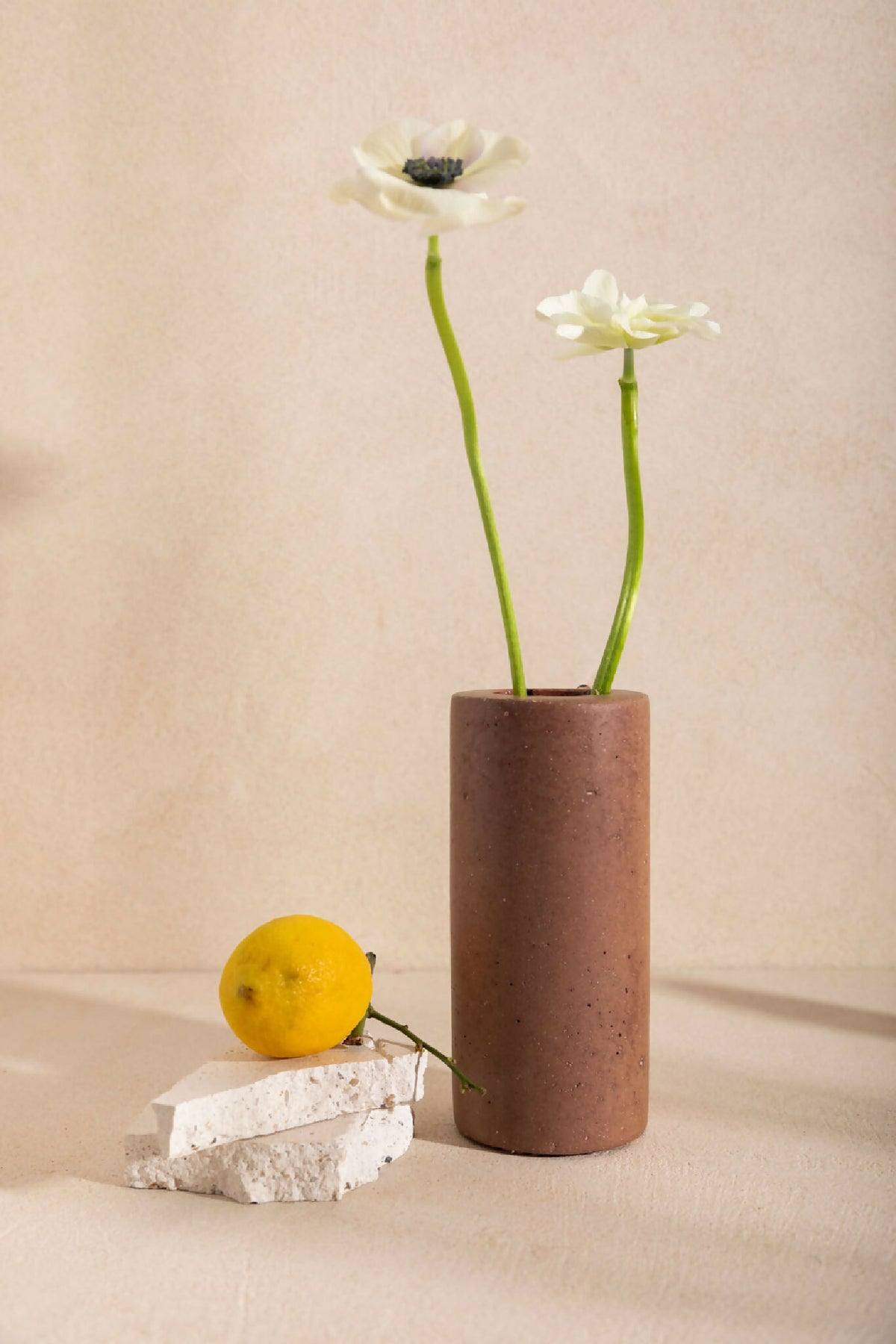 Vase ANDRÉ cylindrique brun, ouverture sombre, tiges vertes et fleurs blanches