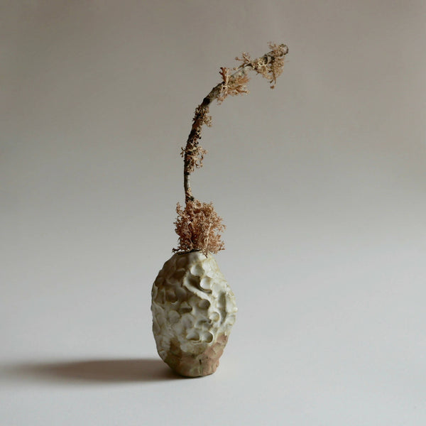 Petit vase ROC en céramique texturée beige, avec brins secs sur le haut.