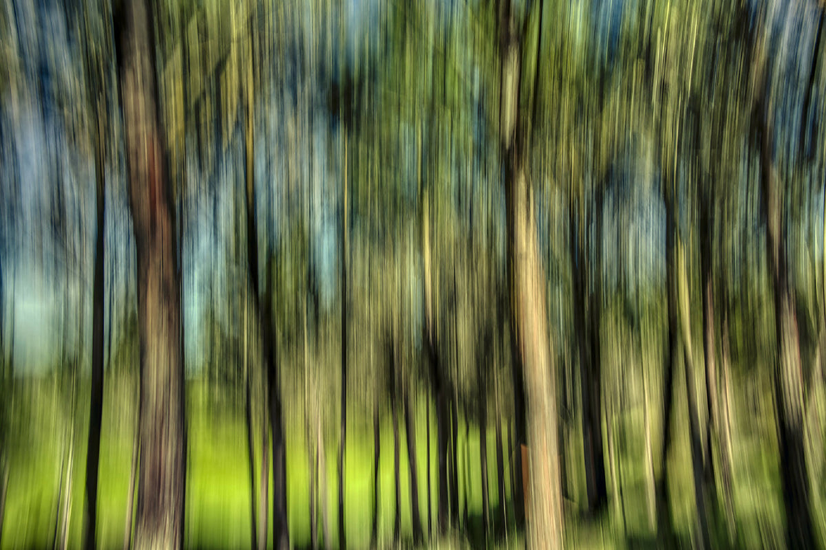 Peinture abstraite de forêt, vert lime et bleu, lignes verticales