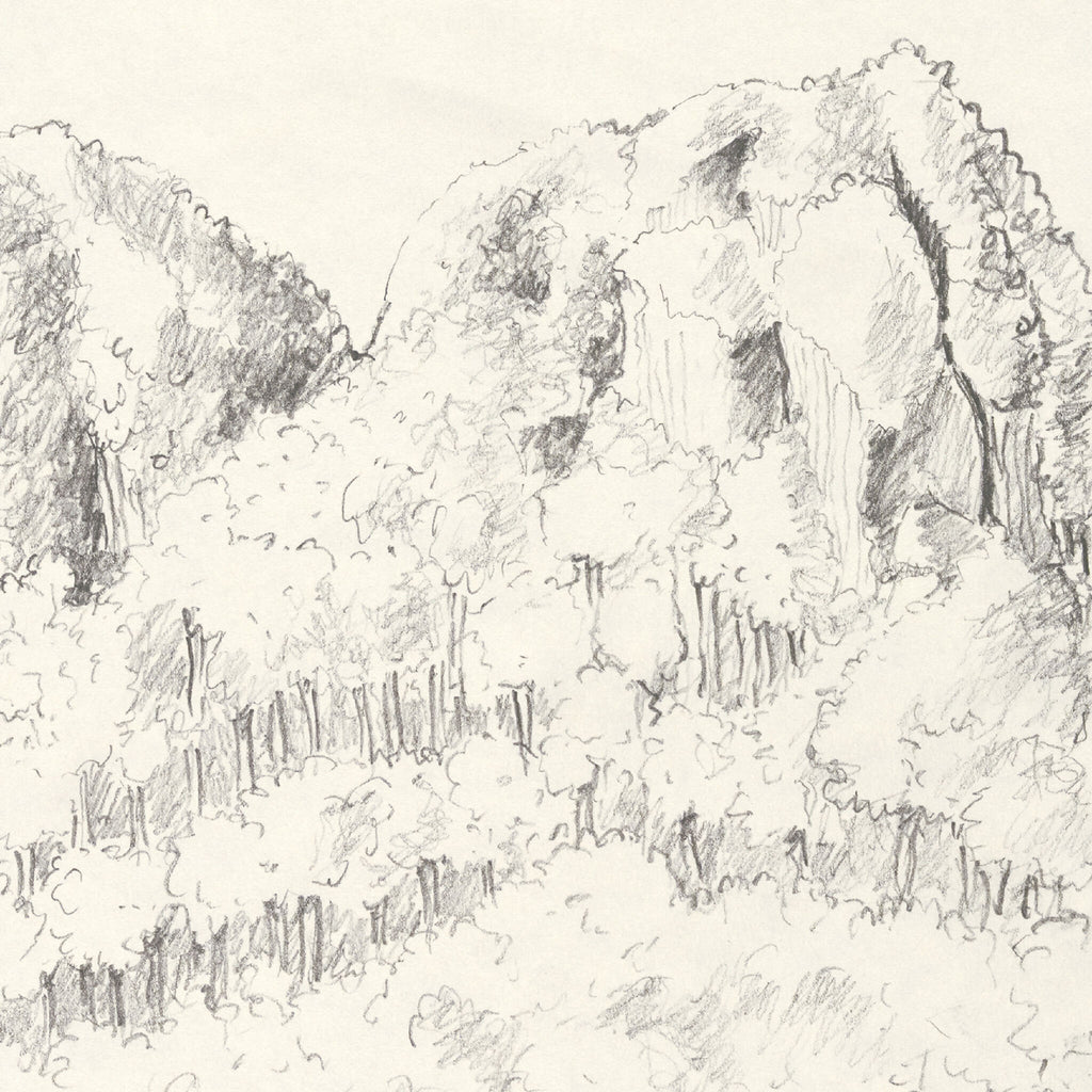 Tirage d’art numéroté : croquis au crayon de montagnes et palmiers