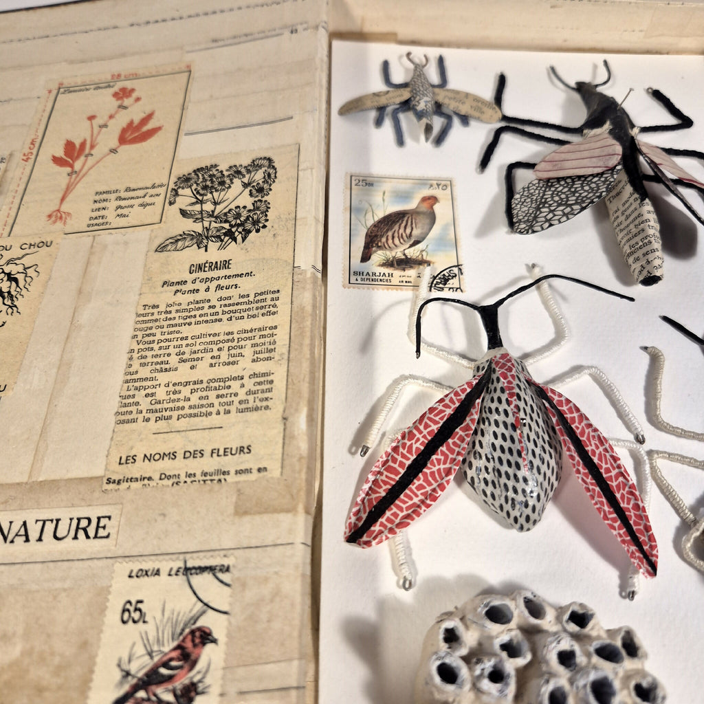 Livre de sculptures sur les insectes, gros plan pages illustrées et insectes en relief