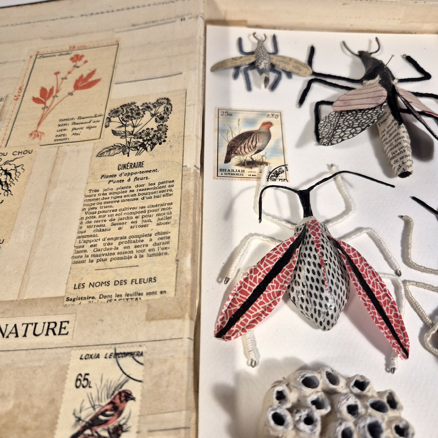 Sculpture Un livre sur les insectes
