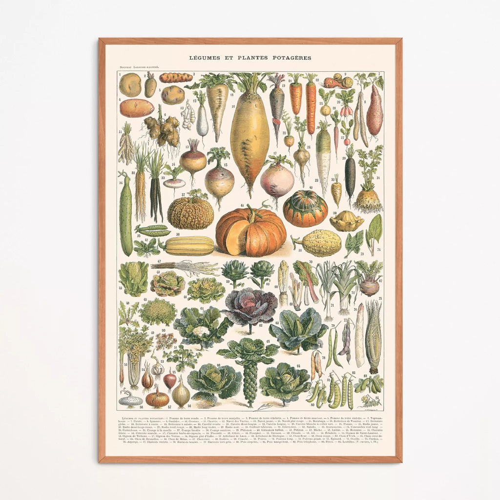 Affiche encadrée : planche botanique de légumes et plantes potagères en entier