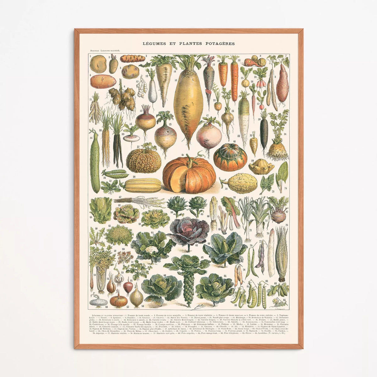 Affiche encadrée : planche botanique de légumes et plantes potagères en entier