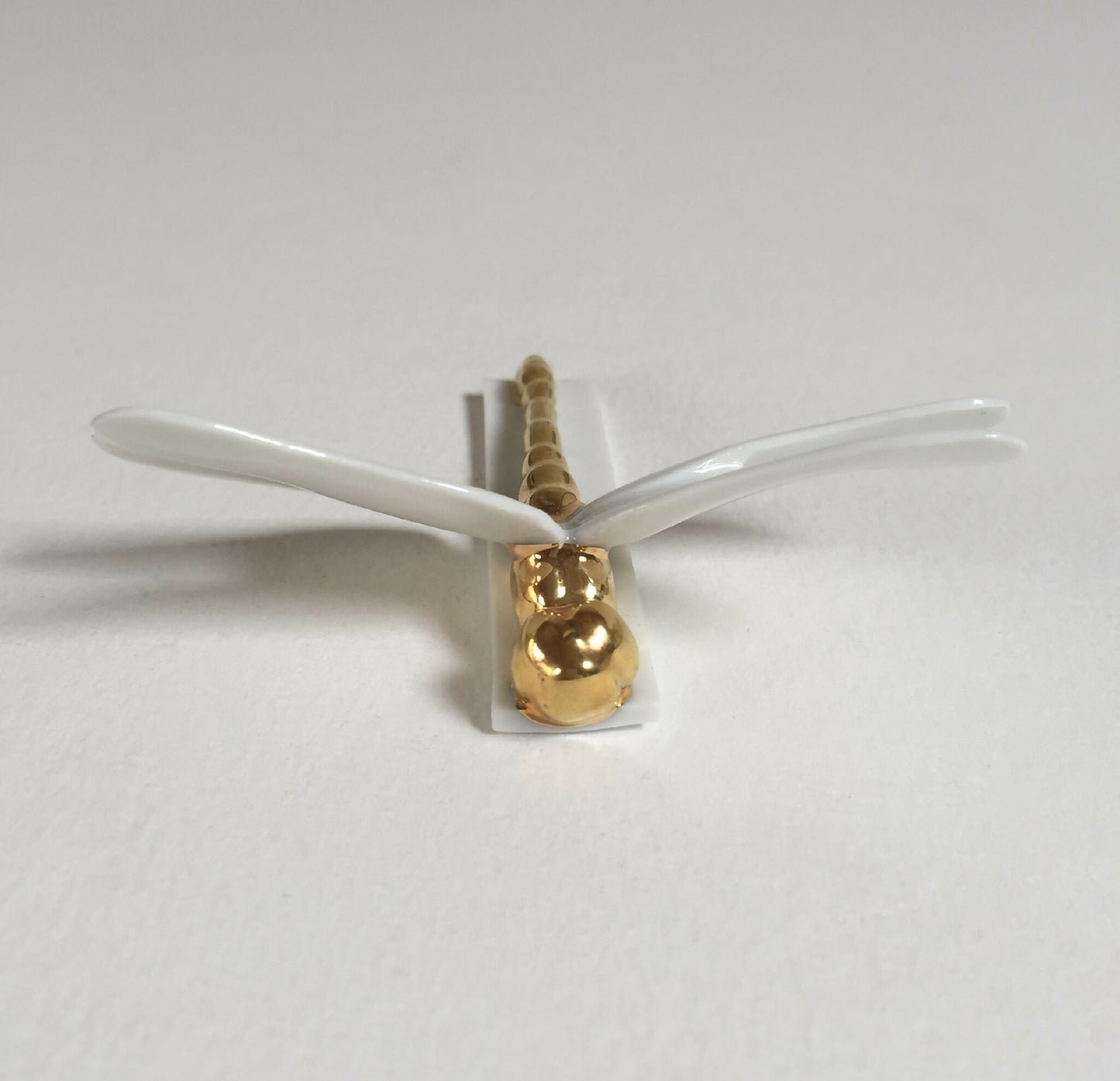 Libellule porte-couvert