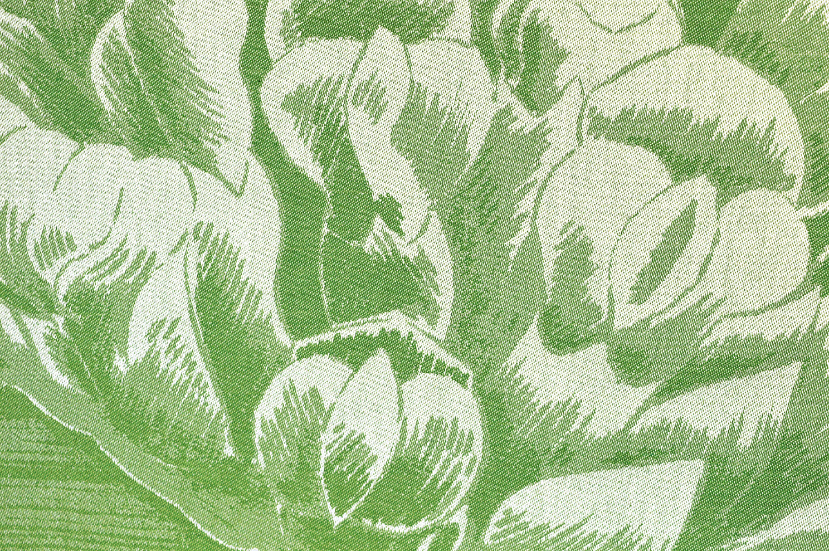 Toile à motif floral : grandes fleurs blanches sur fond vert clair