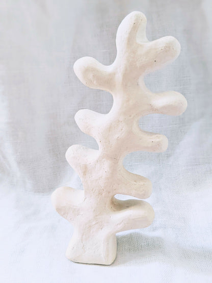 PXL_20250103_095116050.PORTRAIT~3