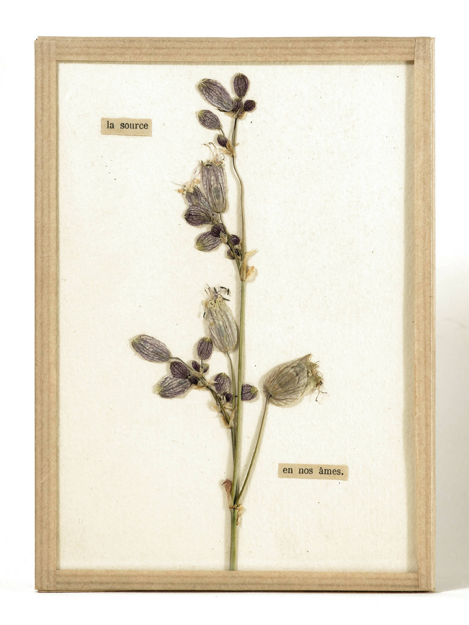 oeuvre d'art floral herbier contemporain fait-main La source - Artiste Chamboissier