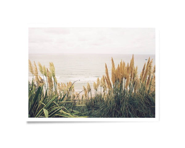 Photographie d'art paysage : dunes d’herbes hautes au bord de la mer